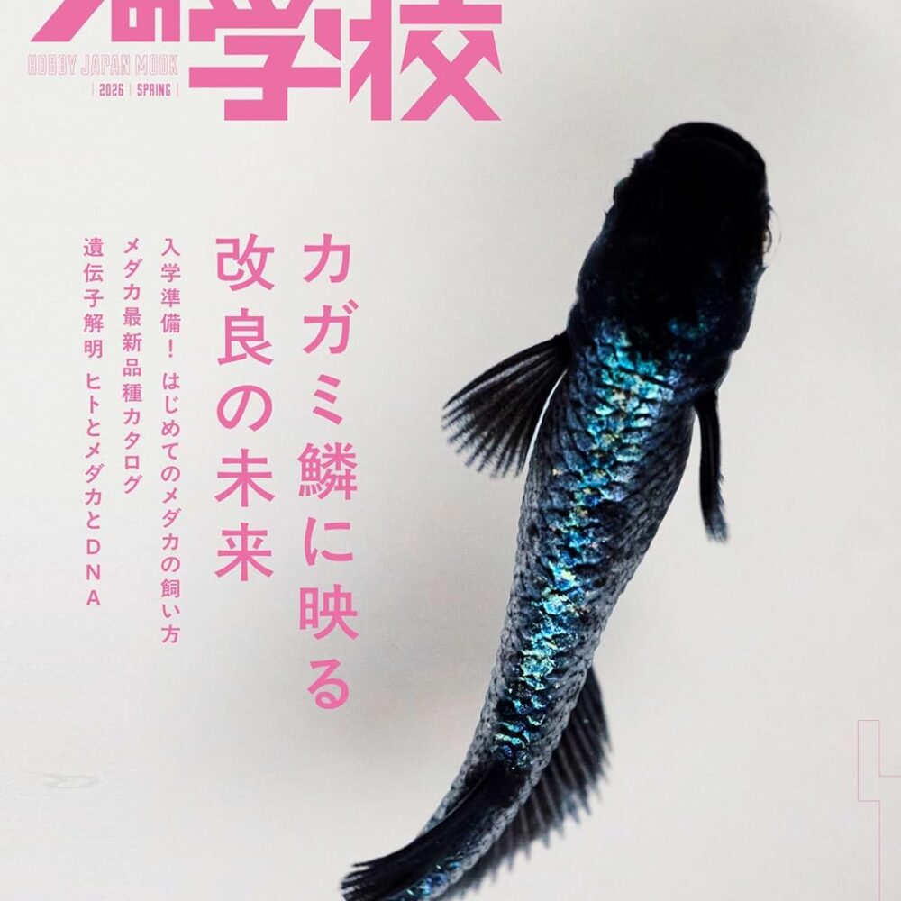 Magazine spécialisée sur le medaka, poisson noir et lamé bleu