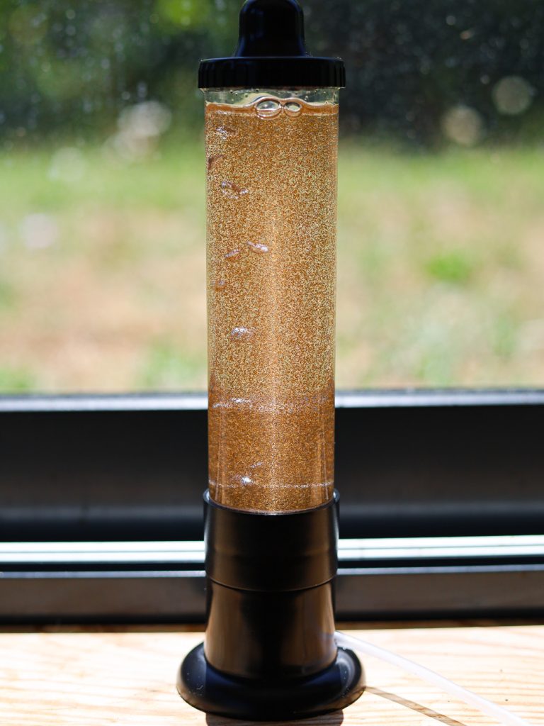 Culture de nauplie d'artemia